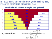 Bài 1, 2, 3, 4, 5 trang 47 SBT Sinh 12: Vốn gen của quần thể là gì ?