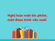 Soạn bài Nghị luận về một tác phẩm, một đoạn trích văn xuôi – bài 21 trang 34 Văn lớp 12: Hãy tìm hiểu sự khác nhau về từ ngữ, về giọng văn giữa hai văn bàn Chữ người tử tù (Nguyễn Tuân) và Hạnh phúc cúa một tang gia ?