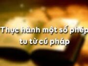 Soạn bài Thực hành một số phép tu từ cú pháp – Bài 12 trang 150 Văn lớp 12: Hãy tìm trong các văn bản ở Ngữ văn 12 (tập một) ba câu văn (hoặc thơ) có dùng phép lặp cú pháp và phân tích tác dụng của phép lặp đó.