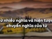 Soạn bài Từ nhiều nghĩa và hiện tượng chuyển nghĩa của từ – Bài 5 SGK Văn lớp 6 trang 55: Tìm mối liên hệ giữa các nghĩa của từ chân ?