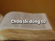 Soạn bài Chữa lỗi dùng từ – Bài 6 SGK Văn trang 68: Trong các câu sau, những từ nào dùng không đúng ?