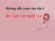 Soạn bài Ôn tập văn miêu tả – bài 28 trang 120 Văn 6: Nếu tả quang cảnh một đầm sen đang mùa hoa nở, em sẽ lập dàn ý cho bài văn ấy như thế nào ?