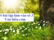 Soạn bài Viết bài tập làm văn số 3 – Văn biểu cảm – Bài 12 trang 145 Văn 7: Đề bài: Cảm nghĩ về người thân: Mở bài: giới thiệu chung về người em yêu quý.