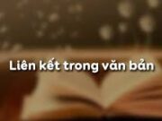 Soạn bài Liên kết trong văn bản – Bài 1 trang 17 Văn 7: Đọc các câu văn sau và chỉ ra sự thiếu liên kết của chúng.