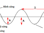 Bài 7.12, 7.13, 7.14, 7.15, 7.16 trang 19, 20 SBT Vật Lí 12: Tính khoảng cách nhỏ nhất giữa hai điểm có dao động cùng pha ?