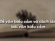 Soạn bài Đề văn biểu cảm và cách làm bài văn biểu cảm – Bài 6 trang 87 Văn 7: Bài văn biểu đạt tình cảm gì, đối với đối tượng nào ?