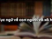 Soạn bài Tục ngữ về con người và xã hội – Bài 19 trang 12 văn 7: Phân tích từng câu tục ngữ trong văn bản theo những nội dung sau ?