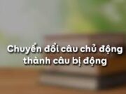 Soạn bài Chuyển đổi câu chủ động thành câu bị động – Bài 23 Văn 7 trang 57: Tìm câu bị động trong các đoạn trích dưới đây. Giải thích vì sao tác giả chọn cách viết như vậy.