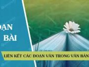 Soạn bài Liên kết các đoạn văn trong văn bản – Bài 4 trang 50 Văn 8: Cụm từ trước đó mấy hôm bổ sung ý nghĩa gì cho đoạn văn thứ hai ?