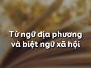 Soạn bài Từ ngữ địa phương và biệt ngữ xã hội – Bài 5 trang 56 Văn 8: Tại sao trong các đoạn văn, thơ sau đây, tác giả vẫn dùng một số từ ngữ địa phương và biệt ngữ xã hội ?