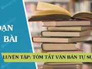 Soạn bài Luyện tập tóm tắt văn bản tự sự – Ngữ văn 8 tập 1 trang 61 Bài 5: Hãy nêu lên những sự việc tiêu biểu và các nhân vật quan trọng trong đoạn trích Tức nước vỡ bờ …