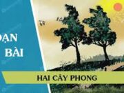 Soạn bài Hai cây phong – Bài 9 văn 8 trang 96: Trong mạch kể của người kể chuyện xưng “chúng tôi”, cái gì thu hút người kể chuyên cùng bọn trẻ và làm cho chúng ngây ngất ? 