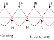 Bài 9.5, 9.6, 9.7, 9.8, 9.9 trang 24 SBT Vật Lý 12:Một sợi dây dài 1 m, hai đầu cố định và rung với hai múi thì bước sóng của dao động là bao nhiêu ?