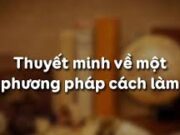 Soạn bài Thuyết minh về một phương pháp (cách làm) – Bài 19 Văn 8 trang 24: Hãy tự chọn một đổ chơi, trò chơi quen thuộc và lập dàn bài thuyết minh cách làm, cách chơi trò chơi đó.