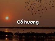 Soạn bài Cố hương – Bài 16 trang 207 Văn 9: Trong truyện, có mây nhân vật chính ? Nhân vật nào là nhân vật trung tâm ?