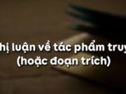 Soạn bài Nghị luận về tác phẩm truyện (hoặc đoạn trích) – Bài 23 trang 61 Văn 9: Các đề bài trên đã nêu ra những vấn đề nghị luận nào về tác phẩm truyện ?