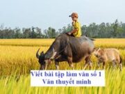 Soạn bài Viết bài tập làm văn số 1 – Văn thuyết minh – Bài 3 trang 42 Văn 9: Thuyết minh về một loài động vật hay vật nuôi ở quê em.