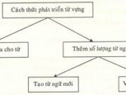 Soạn bài Sự phát triển của từ vựng – Bài 4 trang 55 Văn 9: Hãy tìm ví dụ để chứng minh rằng các từ hội chứng, ngân hàng, sốt, vua !à những từ nhiều nghĩa.