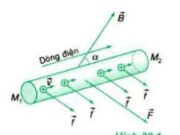 Bài IV.1, IV.2, IV.3, IV.4 trang 54, 55 SBT môn Lý lớp 11: Xác định góc hợp bởi hướng của dòng điện thẳng và hướng của từ trường ?