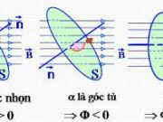 Bài 23.5, 23.4, 23.5 trang 58, 59 SBT Vật Lý 11: Hãy xác định chiều của dòng điện cảm ứng xuất hiện trong khung dây dẫn ?