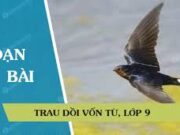 Soạn bài Trau dồi vốn từ – Bài 7 trang 99 Văn 9: Xác định lỗi diễn đạt trong những câu sau ?