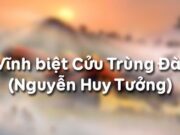 Soạn bài Vĩnh biệt cửu trùng đài – Nguyễn Huy Tưởng Văn 11: Các mâu thuẫn được thể hiện trong hồi V