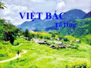 Soạn bài Việt Bắc trang 94 môn Văn lớp 12 (ngắn gọn): Nêu những nét lớn trong cuộc đời Tố Hữu