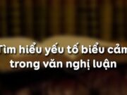 Soạn bài Tìm hiểu yếu tố biểu cảm trong văn nghị luận Văn 8 trang 95 ngắn: 1.	Hãy chỉ ra các yếu tố biểu cảm trong phần I – Chiến tranh và “người bản xứ”