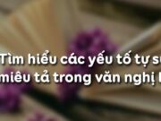 Soạn bài Tìm hiểu các yếu tố tự sự và miêu tả Văn 8 trang 113 (ngắn gọn): Chỉ ra các yếu tố tự sự và miêu tả trong đoạn văn nghị luận