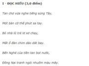 Đề thi giữa kì 1 lớp 11 môn Văn – THPT Phạm Phú Thứ 2019: Phân tích bài thơ Thương vợ của Trần Tế Xương để thấy được tấm lòng yêu thương, quý trọng vợ