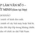 Soạn bài Viết bài tập làm văn số 3 – Văn thuyết minh – Bài 14 Văn 8 trang 145:  Thuyết minh về cây bút máy hoặc bút bi.