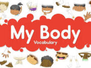 Vocabulary – Phần từ vựng – Unit 9 The Body – Thân Thể SGK Tiếng Anh 6