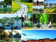 Vocabulary – Phần từ vựng – Unit 11 Travelling Around Viet Nam – Du Lịch Vòng Quanh Việt Nam SGK Tiếng Anh 8