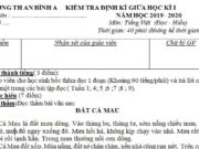 Đề thi giữa kì 1 lớp 5 môn Văn – TH An Bình A 2019: Đặt 1 câu từ “nóng”  theo  nghĩa gốc; 1 câu từ “nóng” mang nghĩa chuyển