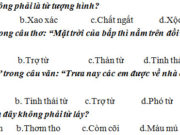 Đề thi giữa học kì 1 môn Văn lớp 8 – THCS Nghĩa Bình 2018: Em hãy nhập vai Xiu trong truyện ngắn “ Chiếc lá cuối cùng” của nhà văn O.Hen-ri kể lại quá trình hồi sinh của nhân vật Giôn-xi có sử dụng yếu tố miêu tả và biểu cảm