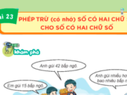 Bài 23: Phép trừ (có nhớ) số có hai chữ số cho số có hai chữ số trang 89, 90, 91, 92, 93, 94 SGK Toán 2