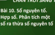 Giải SBT Toán 6 Bài 10: Số nguyên tố. Hợp số. Phân tích một số ra thừa số nguyên tố