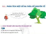 Bài 11: Phân tích một số ra thừa số nguyên tố trang 44, 45, 46 Toán lớp 6 Cánh diều