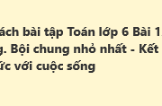 Bài 12: Bội chung. Bội chung nhỏ nhất Sách bài tập Toán 6 Kết nối tri thức