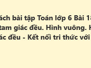 Bài 18: Hình tam giác đều. Hình vuông. Hình lục giác đều trang 64, 65, 66 SBT Toán 6