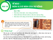 Bài 18: Tế bào – Đơn vị cơ bản của sự sống trang 64, 65 Khoa học tự nhiên lớp 6 KNTT