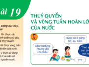 Bài 19: Thủy quyển và vòng tuần hoàn lớn của nước trang 156, 157 SGK Địa lí 6