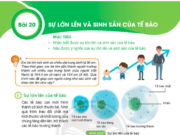 Bài 20: Sự lớn lên và sinh sản của tế bào trang 70, 71 Khoa học tự nhiên lớp 6 KNTT