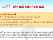 Bài 21: Lớp đất trên Trái Đất trang 175, 176, 177, 178 SGK Địa lí 6 cánh diều