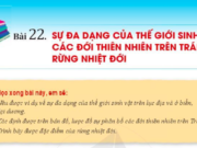 Giải Địa lí 6 Bài 22: Sự đa dạng của thế giới sinh vật. Các đới thiên nhiên trên Trái Đất. Rừng nhiệt đới