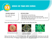 Bài 22: Hình có tâm đối xứng trang 103 SGK Toán lớp 6 tập 1 KNTT