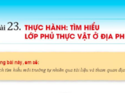 Giải địa lí 6 Bài 23: Thực hành – Tìm hiểu lớp phủ thực vật ở địa phương