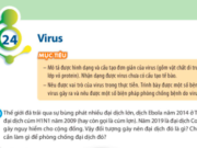 Bài 24: Virus trang 109, 110, 111, 112 SGK Khoa học tự nhiên lớp 6 CTST