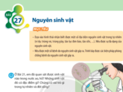 Bài 27: Nguyên sinh vật trang 119, 120, 121, 122 Khoa học tự nhiên lớp 6 CTST