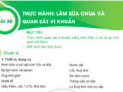 Bài 28: Thực hành Làm sữa chua và quan sát vi khuẩn trang 97 Khoa học tự nhiên lớp 6